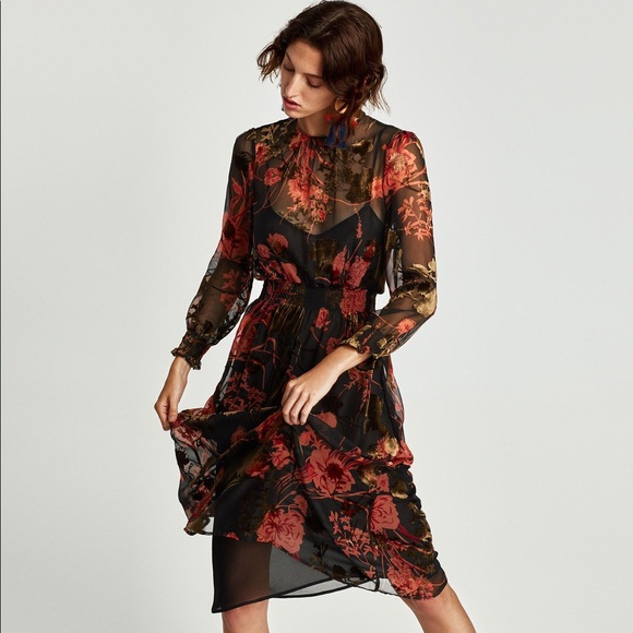 Zara Dresses & Skirts - Zara Woman Sheer + Velvet Midi Dress